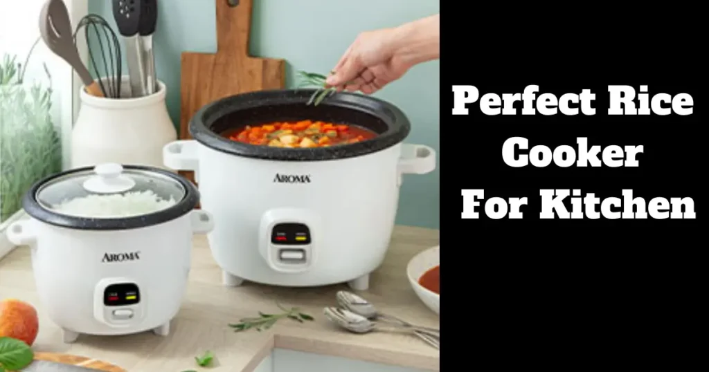 perfect rice cooker for kitchen